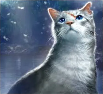 Qui a &eacute;t&eacute; jalouse de l'autre durant son apprentissage ?