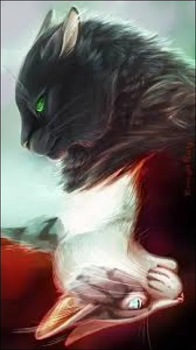 Qui a d&eacute;j&agrave; eu au moins un apprenti ?