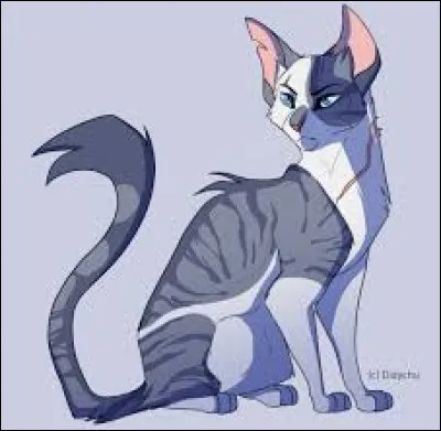 Qui a du gris sur son pelage ?