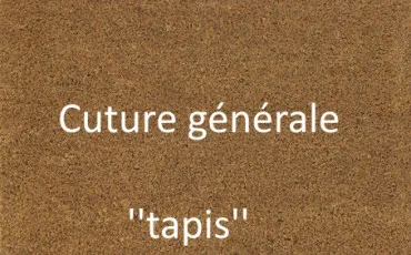 Quiz Culture g�n�rale