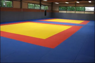 Comment s'appelle le tapis sur lequel on pratique le judo ?