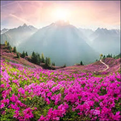 Quelle est ta saison pr&eacute;f&eacute;r&eacute;e ?