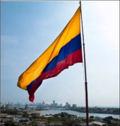 Encore un voyage dont le drapeau vous donne la destination pour y admirer cette orchid&eacute;e pourpre et or.