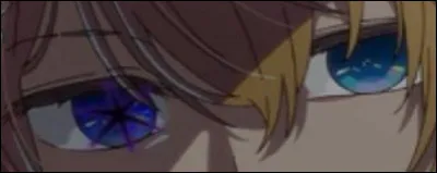 &Agrave; qui appartiennent-ils ?