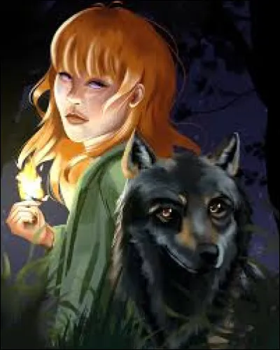 Quels sont leurs pouvoirs respectifs ?