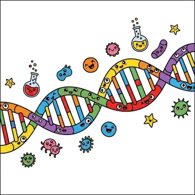 Avec quel animal l�Homme a-t-il le plus d�ADN en commun ?