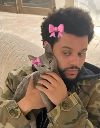 Laquelle a fait le plus de feats avec The Weeknd ?