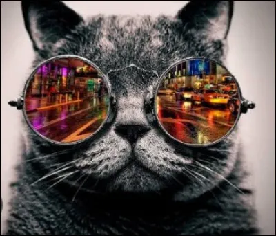 Tu es plut&ocirc;t...