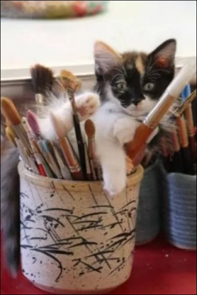 Tu es plut&ocirc;t... (Suite)