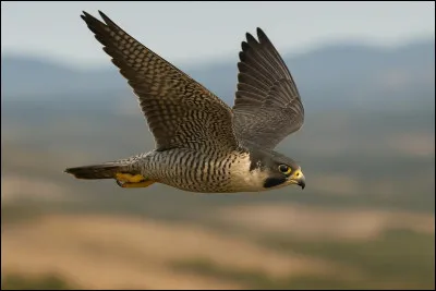 Quel est l�animal terrestre le plus rapide ?