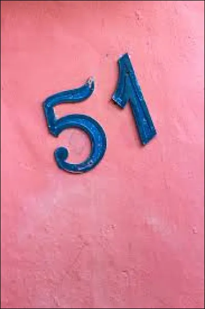 Qui est le r&eacute;alisateur du film "Chien 51" sorti en 2025 ?