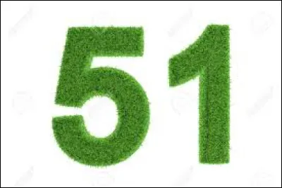 Quelles noces f&ecirc;te-t-on pour 51 ans de mariage ?