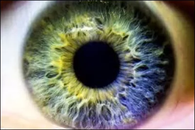 Tu voudrais avoir les yeux...