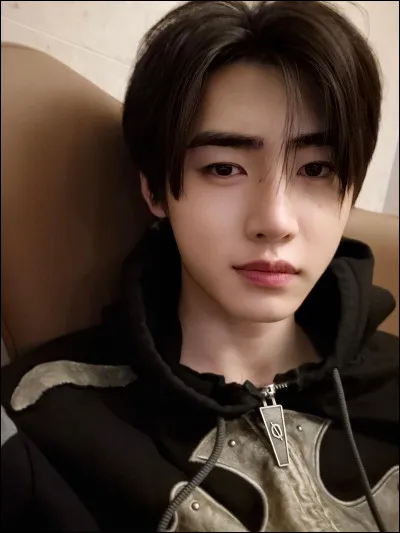 Quel est le membre qui &eacute;tait un patineur artistique incroyable ?