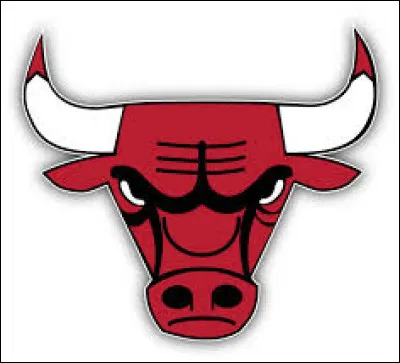 Quelle est cette &eacute;quipe ?