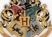 Test Ta vie dans ''Harry Potter'' (fille)