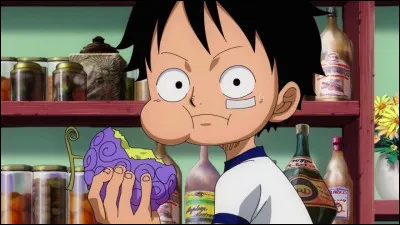 Quel fruit du d&eacute;mon Luffy a mang&eacute; ?
