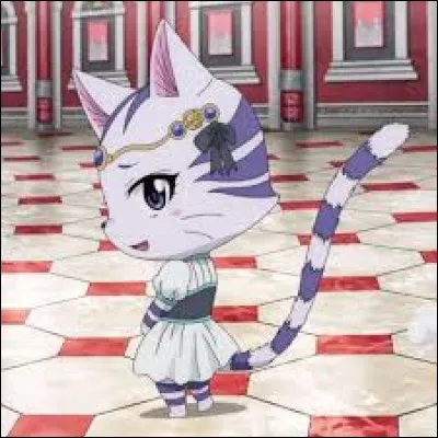 Comment s'appelle cet Exceed ?