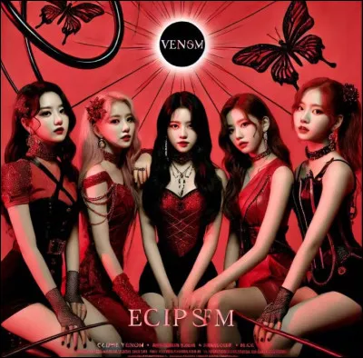 Qui est la chanteuse solo tr&egrave;s populaire, connue pour ses chansons po&eacute;tiques comme "Love Poem" ?