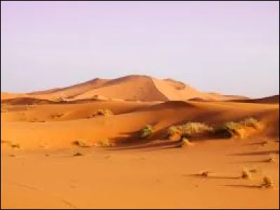 Quel est le plus vaste d&eacute;sert du monde ?