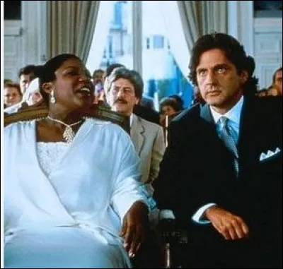 Dans le film "Romuald et Juliette", quelles professions exercent les deux protagonistes ?