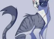 Quiz LGDC : connais-tu bien Feuille de Lis ?