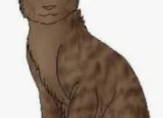 Quiz LGDC : connais-tu bien �toile de Feuille ?