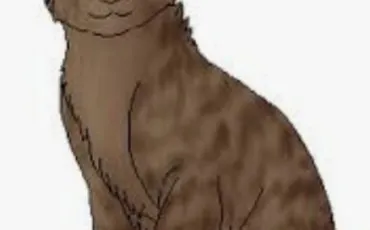 Quiz Litt�rature, po�sie