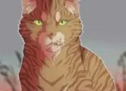 Quiz LGDC : connais-tu bien �toile Balafr�e ?