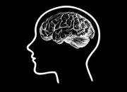 Quiz Quiz de culture g�n�rale impossible