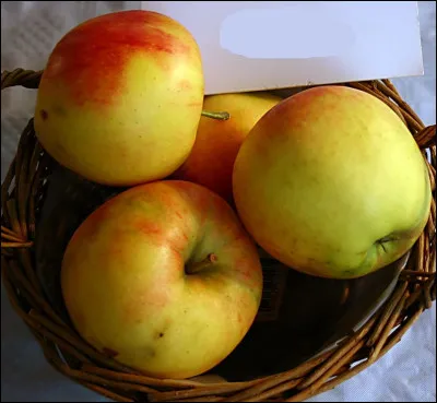 Quelle et la pi&egrave;ce instrumentale la plus connue du groupe The Tornados ?