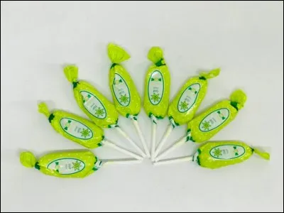 Qui aime les sucettes &agrave; l'anis dans la chanson de Serge Gainsbourg interpr&eacute;t&eacute;e par France Gall en 1966 ?