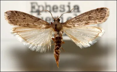 Connu(e) pour avoir le go&ucirc;t des affaires !