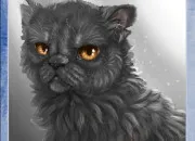 Quiz Connais-tu bien Croc Jaune dans LGDC ?