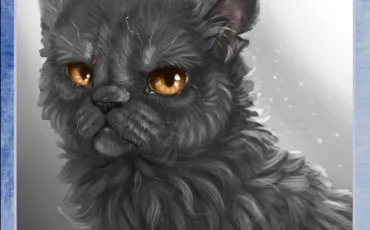 Quiz Litt�rature, po�sie