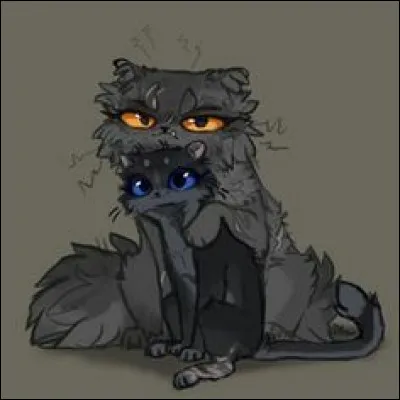 Et qui sont ses chatons ?