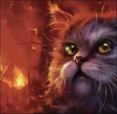 Quel est son pouvoir ?