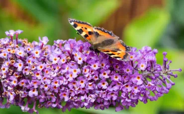 Quiz Test de personnalit�