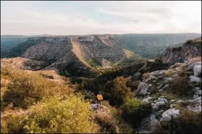 Quel est le num&eacute;ro de ce d&eacute;partement ?