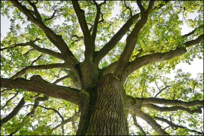 Comment s'appelle son compagnon, d&eacute;j&agrave; ?