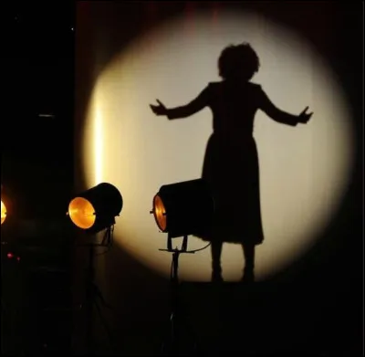 Quelle chanteuse est l'interpr&egrave;te du titre ''Non, je ne regrette rien'' ?