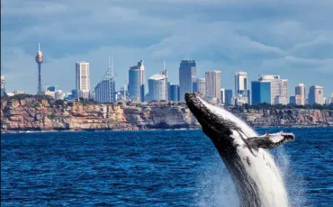 Quiz Test de personnalit�