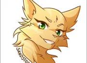 Quiz Connais-tu bien Temp�te de Sable dans LGDC ?