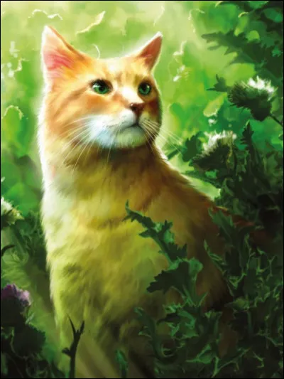 Quel &eacute;tait son nom d'apprenti ?