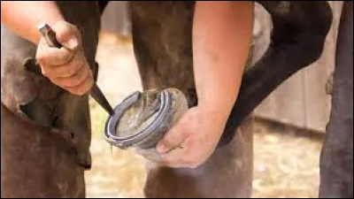 Comment s'appelle l'artisan sp&eacute;cialiste du ferrage des chevaux ?