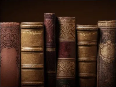 Si tu aimes les romans &agrave; contexte historique, que pr&eacute;f&egrave;res-tu ?