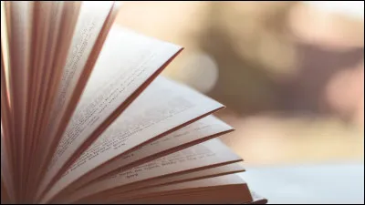 Aimes-tu quand le point de vue change de personnage &agrave; chaque chapitre ?