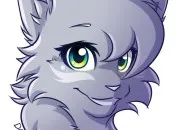 Quiz Aile de Colombe