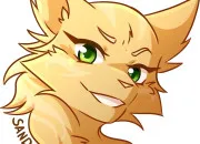 Quiz Temp�te de Sable