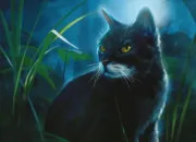 Quiz Violette Brillante